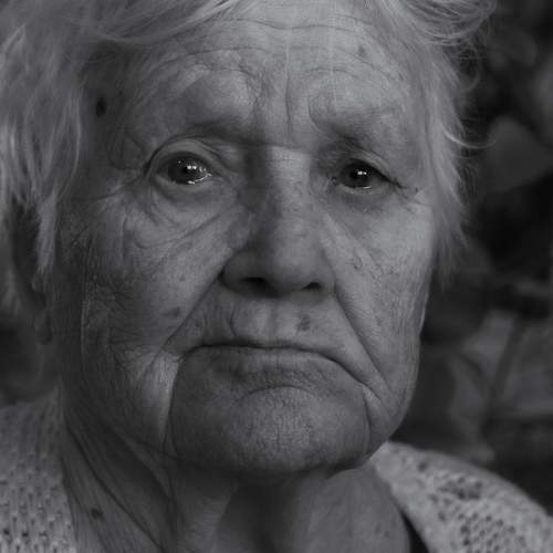 Photo #8625953