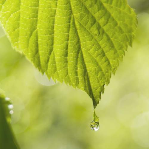 Photo #8626393