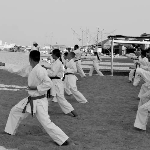 Photo #8626432