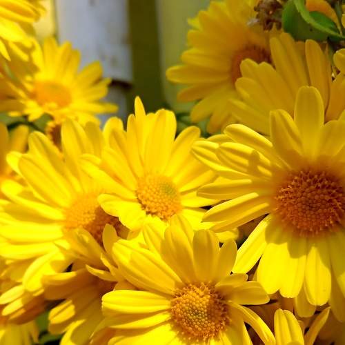 Photo #8626469
