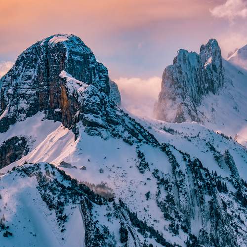 Photo #8626544