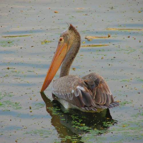 Photo #8626588