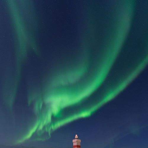 Фотография #8626644