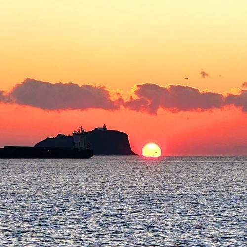 Photo #8626984