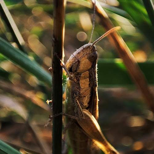 Photo #8627126