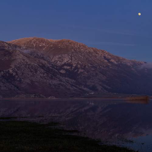 Photo #8627130