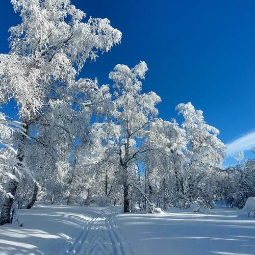 Photo #8627574
