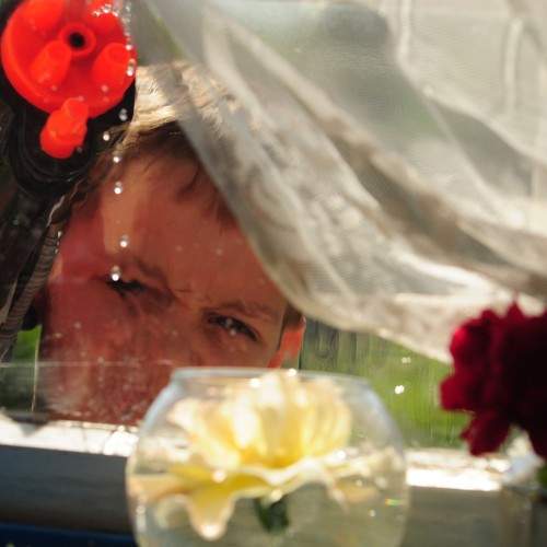 Photo #8627727