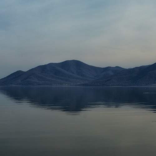 Photo #8627764