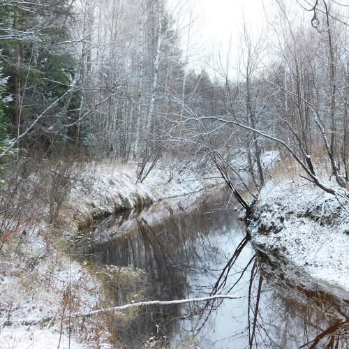 Photo #8627972