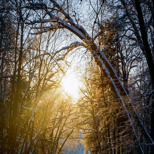 Photo #8628246