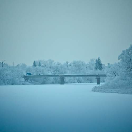 Photo #8628391