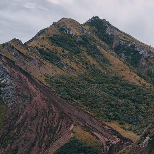 Photo #8628809