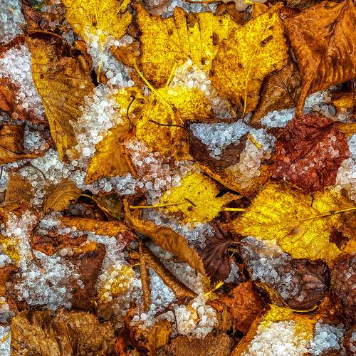 Photo #8629251