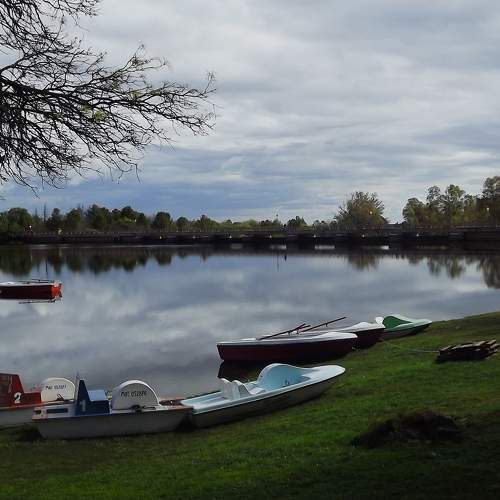 Photo #8629260