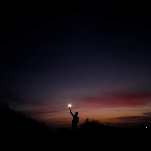 Photo #8629402