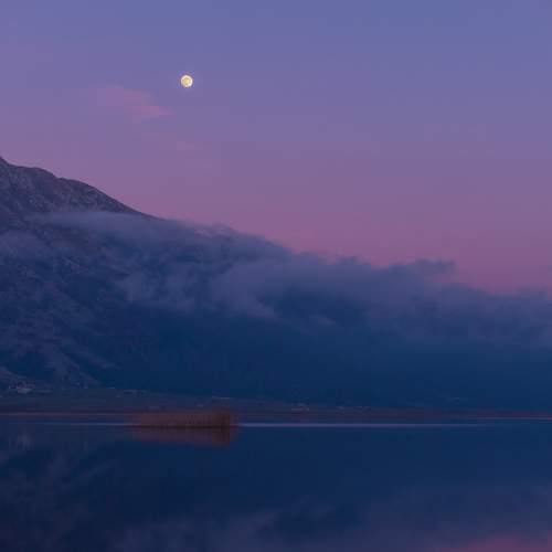 Photo #8629648