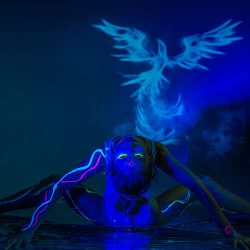 Photo #8629704
