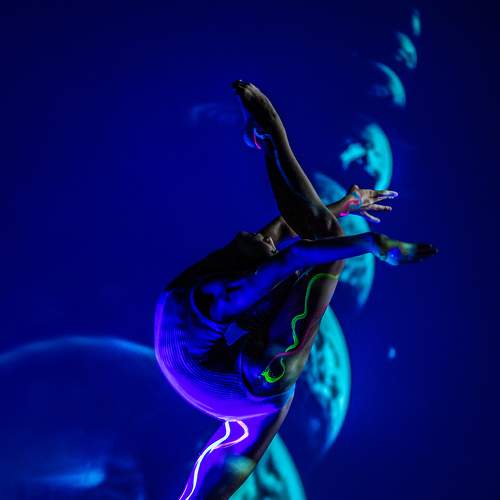 Photo #8629707