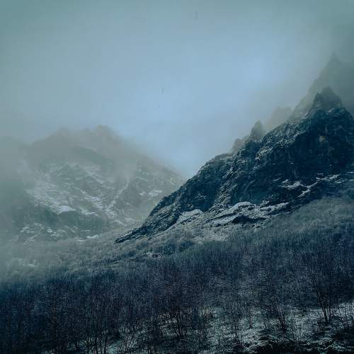 Photo #8630024