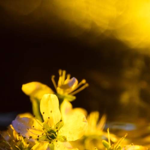 Photo #8630375