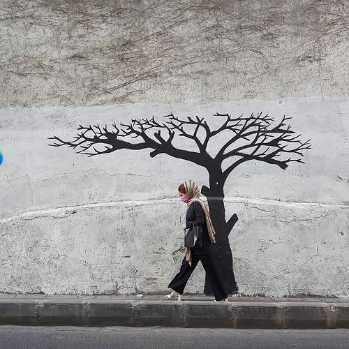 Photo #8630820