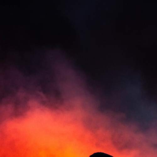 Photo #8631043