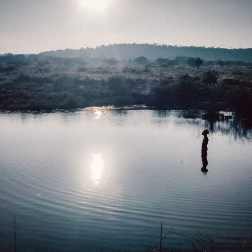 Photo #8631607