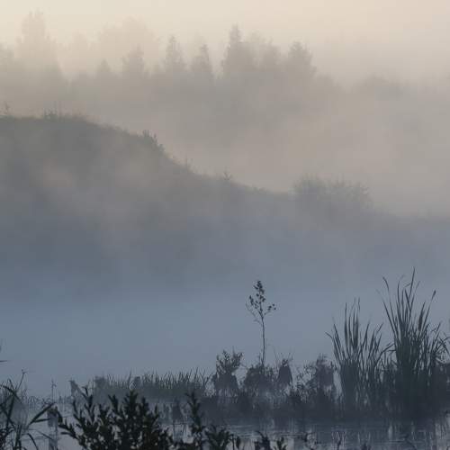Photo #8631640