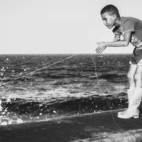 Photo #8631663