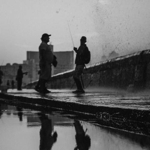Photo #8631664