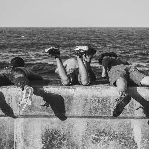 Photo #8631665