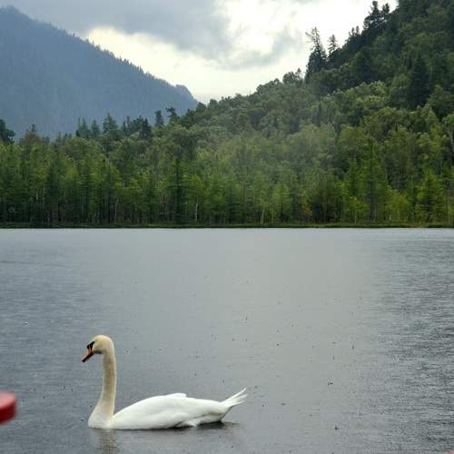 Photo #8631949