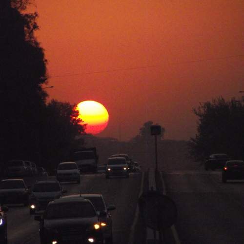 Photo #8631970