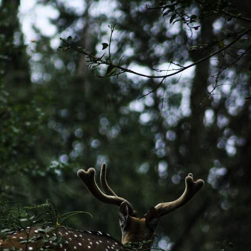 Photo #8632121