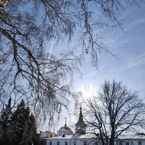 Photo #8632254
