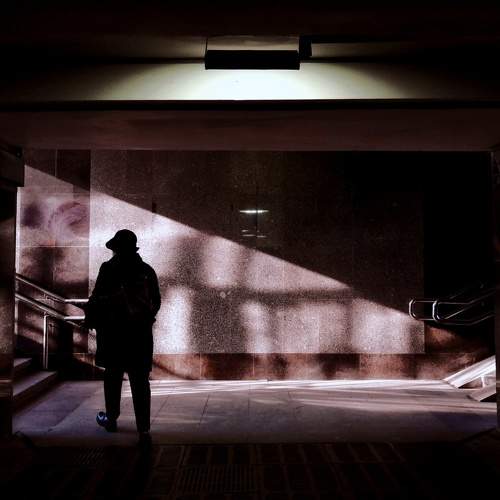 Photo #8632571