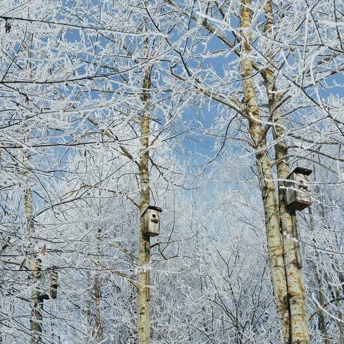 Photo #8632832
