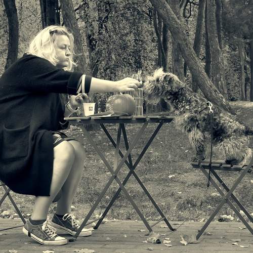 Photo #8633034