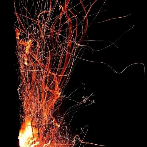 Photo #8633453