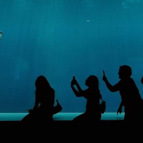 Photo #8633586