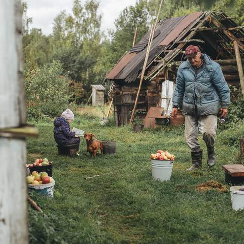 Photo #8633686