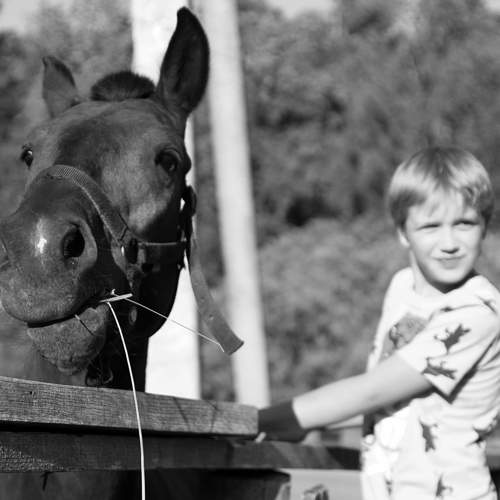 Photo #8633694