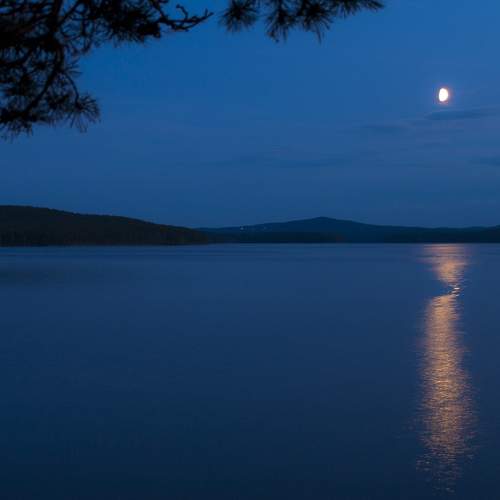 Photo #8634548