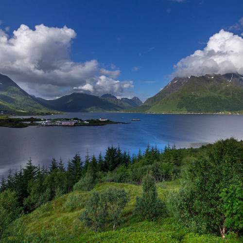 Photo #8634560