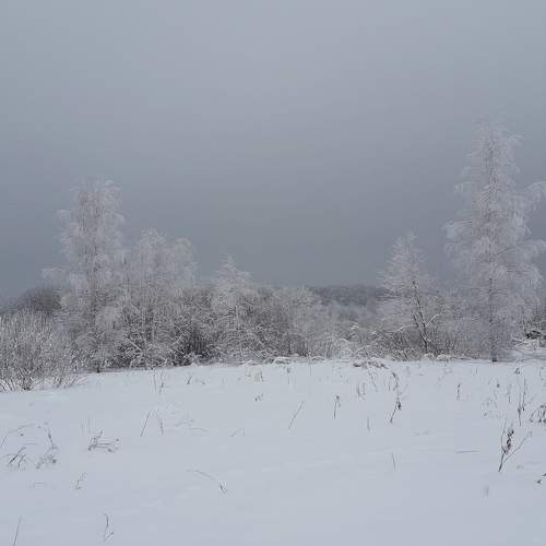 Photo #8634974