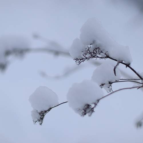 Photo #8635044
