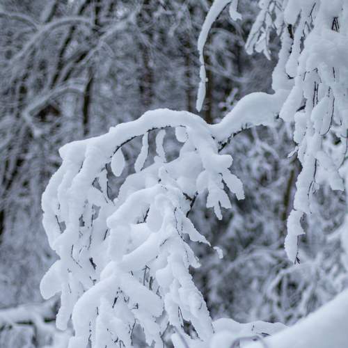 Photo #8635066
