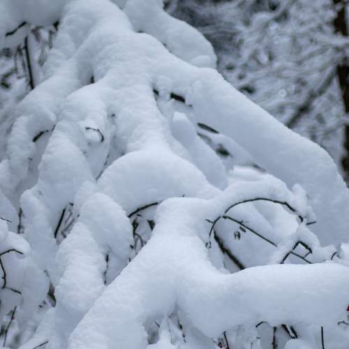 Photo #8635106