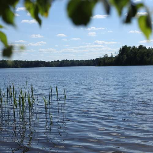 Photo #8635229